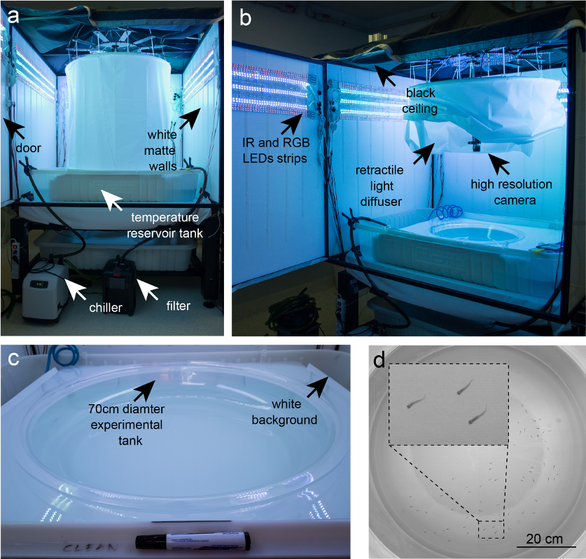 ../_images/fish_setup_LR.png