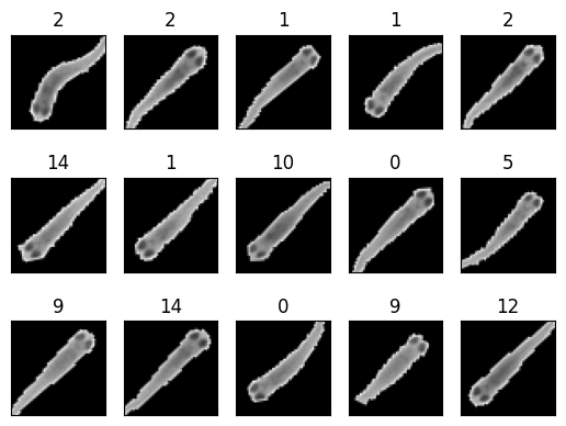 ../_images/why_it_works_identifying_fish_with_a_classifying_CNN_10_0.png